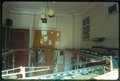1980vindue.jpg 119705 bytes