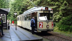 dsc00019.jpg 3802789 bytes